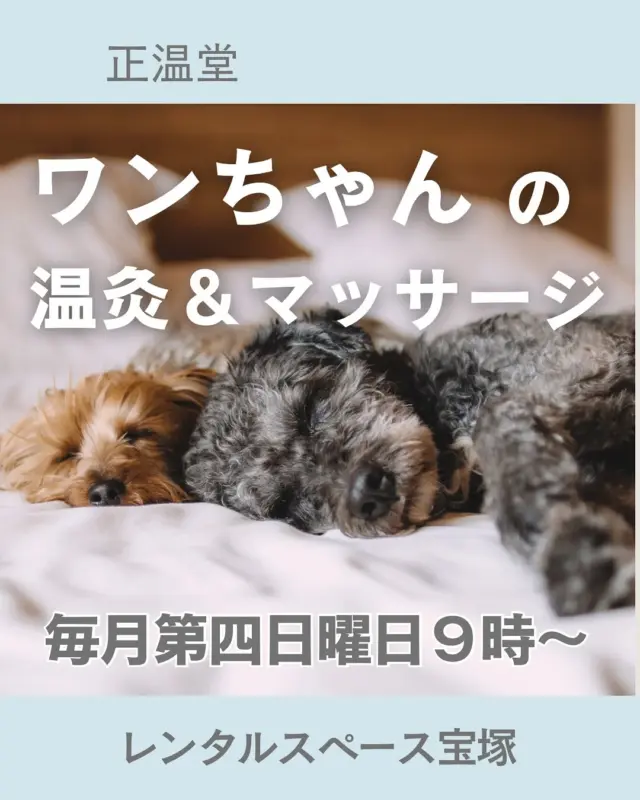 こんにちは😃レンタルスペース宝塚です！！
今週の日曜日は【正温堂】さん🐶ワンちゃんの温灸＆マッサージをされています🤗毎回予約がいっぱいで大人気です!

なんせ、なんせ🤭驚くほど優しくて誠実な先生です！大切なワンチャを安心しおまかせください@🤗
お問い合わせご予約は
  @shouondou 
レンタルスペース宝塚で毎月第4日曜日の９時〜開催されています。

 #レンタルスペース
 #レンタルスペース宝塚
  #ワンちゃんの温灸
 #わんちゃんの マッサージ
 #正温堂